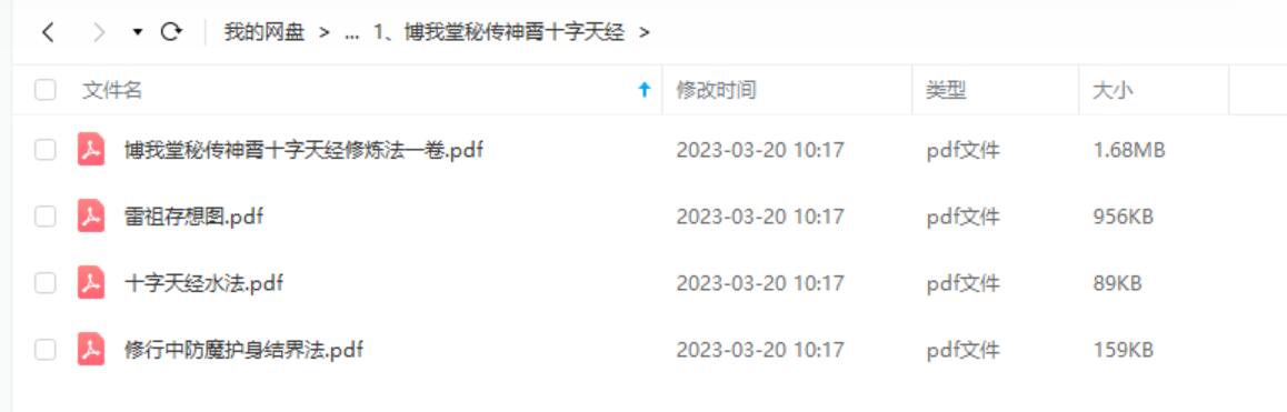 神霄雷法十字天经秘传道法 含水法 洞玄玉枢雷霆大法
