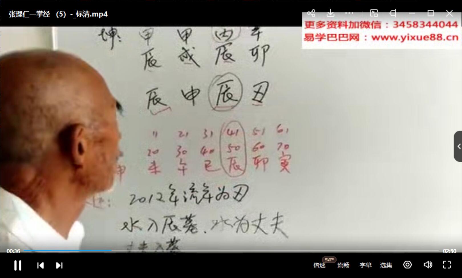 张理仁一掌经19集