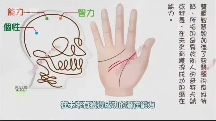 传统手相结合西方占星理论47集 零基础入门到精通 真人案例