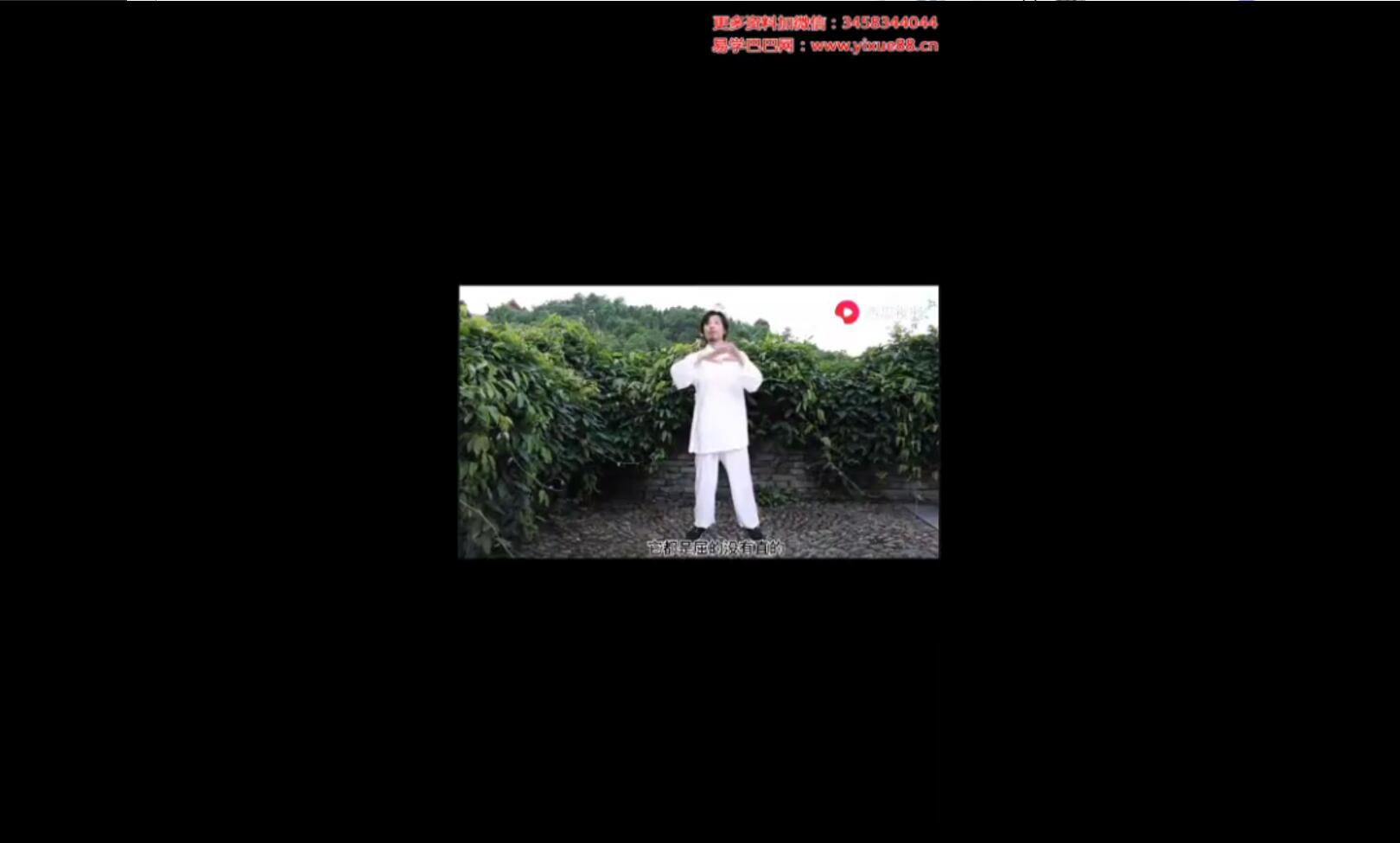 龙门天成《全真龙门派站桩养生功》20集