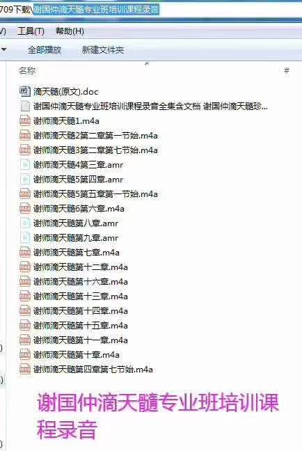 谢国仲滴天髓专业班培训课程录音