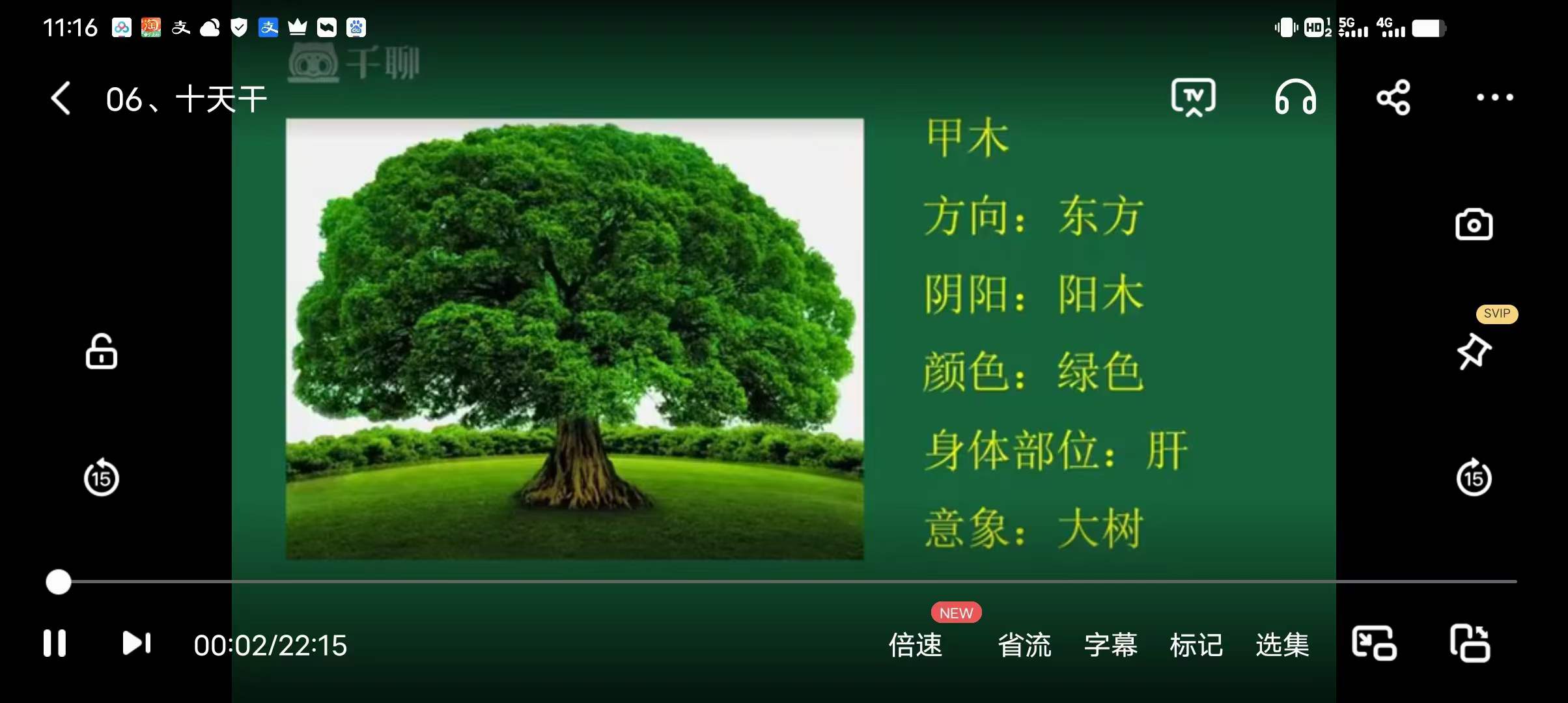 《四柱预测系统课》15集