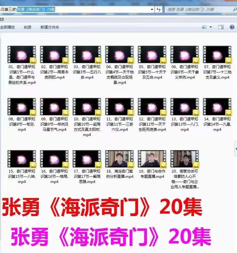 张勇《海派奇门》20集