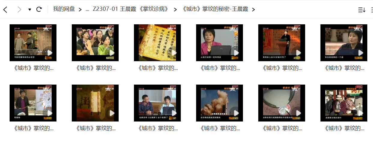 王晨霞《掌纹诊病》