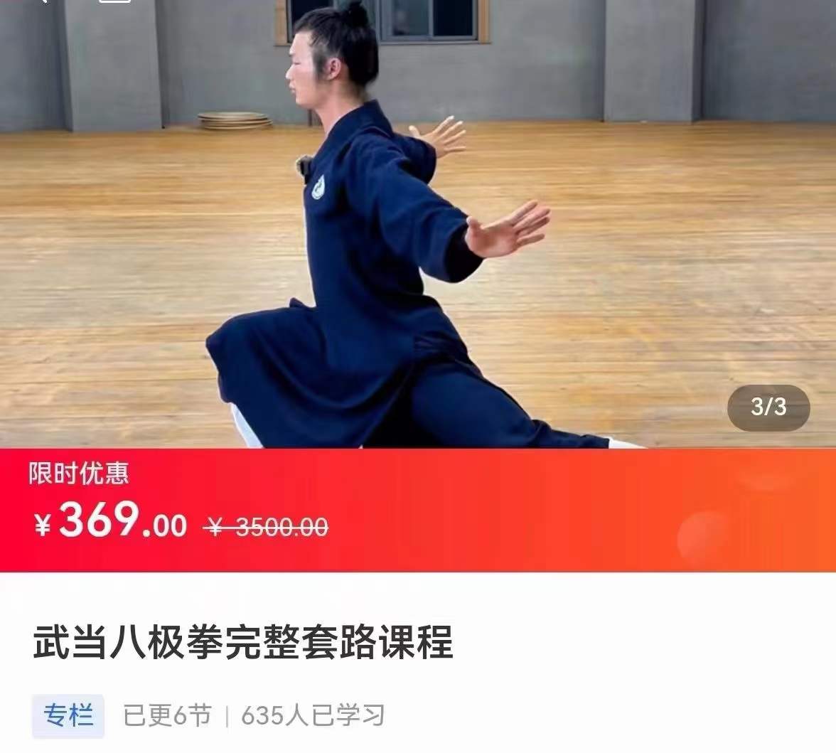 武当八极拳完整套路课程6集