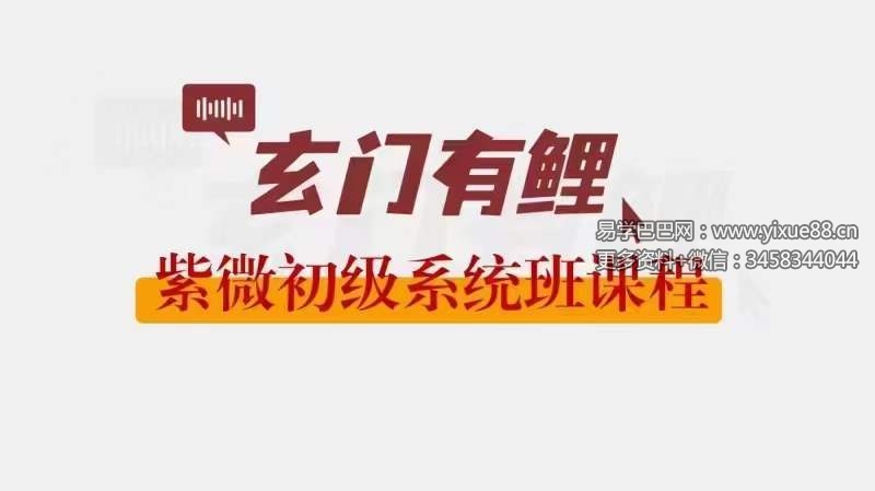 2023玄门有鲤 紫微初级系统班
