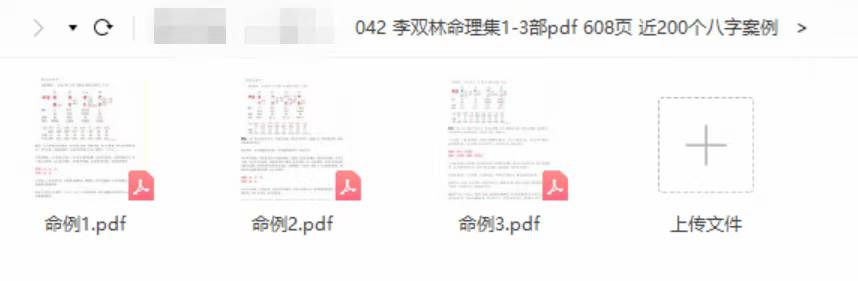 李双林命理集1-3部pdf 608页 近200个八字案例