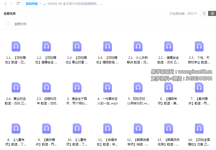 金玉章八字实务案例精讲、四柱精批 28集音频