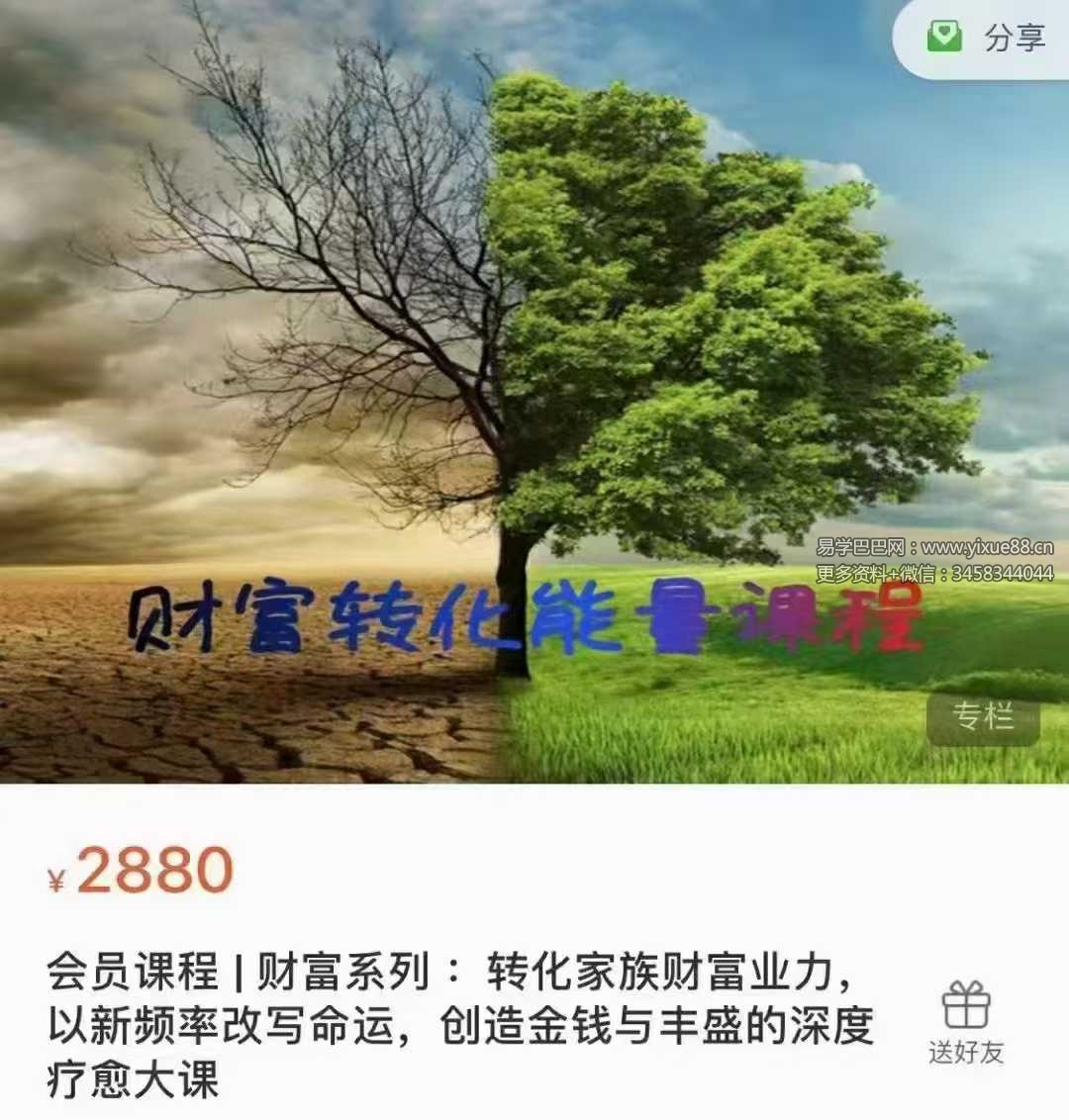 afrt 财富系列：转化家族财富业力，以新频率改写命运，创造金钱与丰盛的深度疗愈大课19集