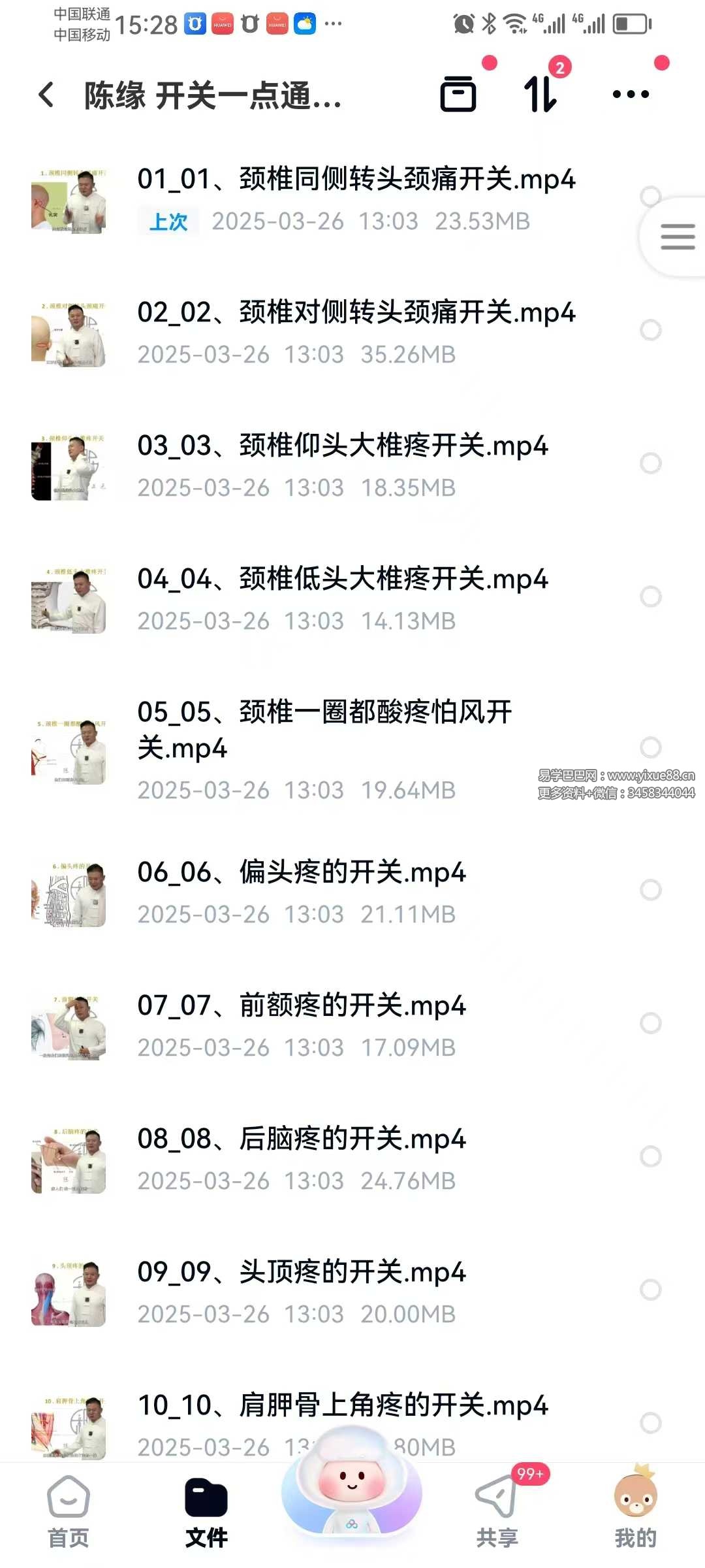 陈缘 开关一点通痛症理疗必学67集