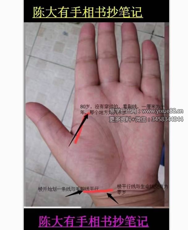 陈大有手相手抄笔记32页